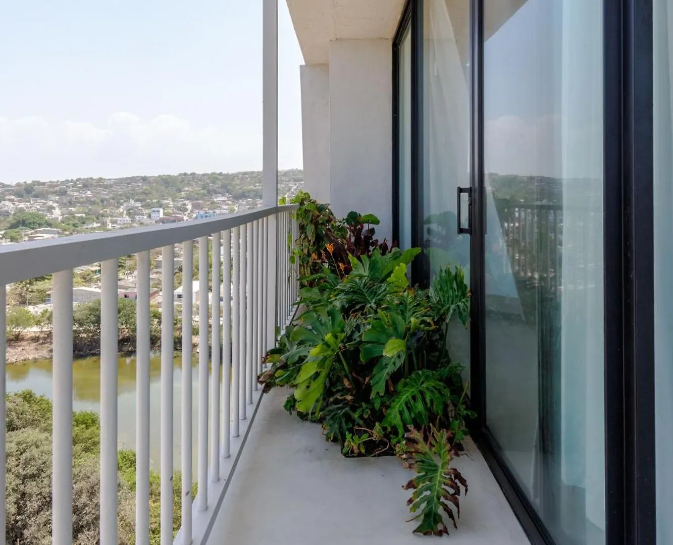 Bondo Estudio Cartagène